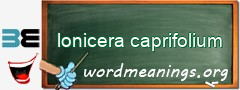 WordMeaning blackboard for lonicera caprifolium